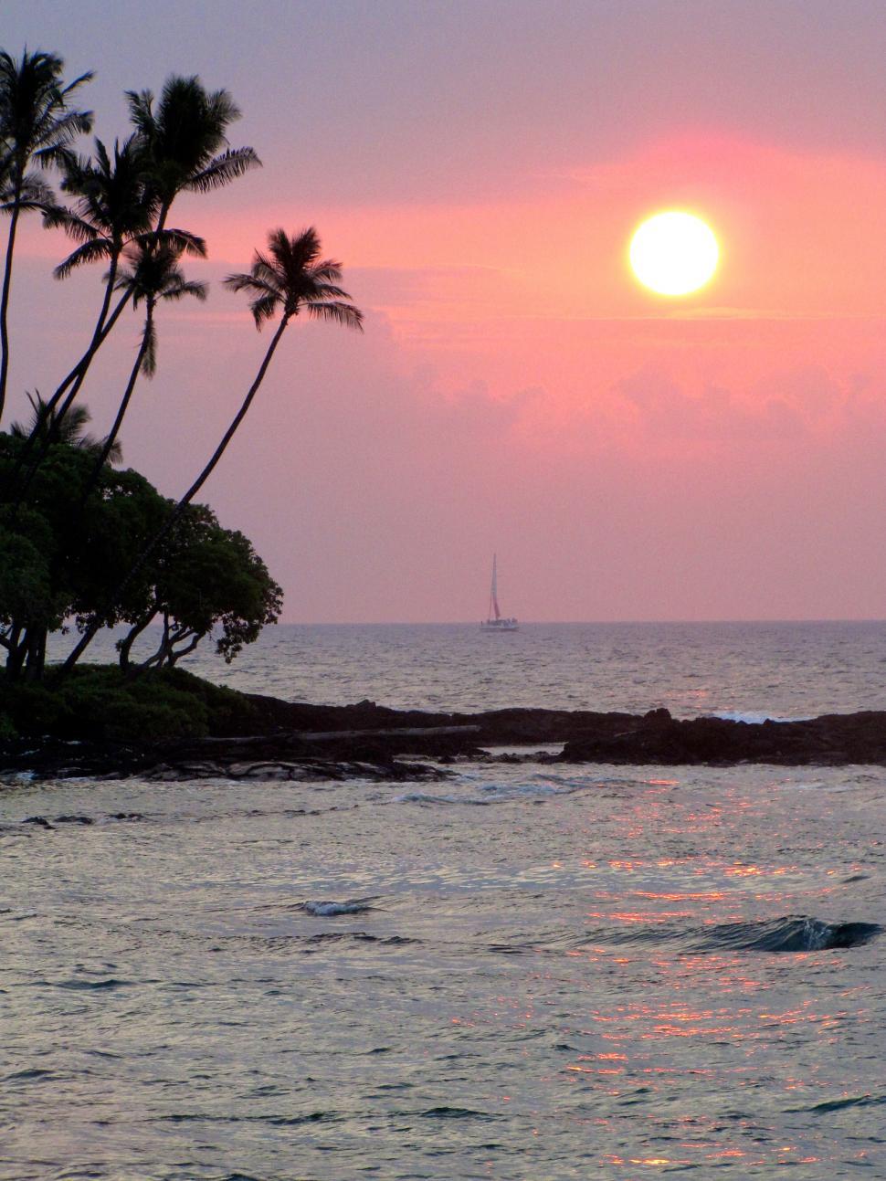 Free Image of Sun Setting Over Ocean With Palm Trees 