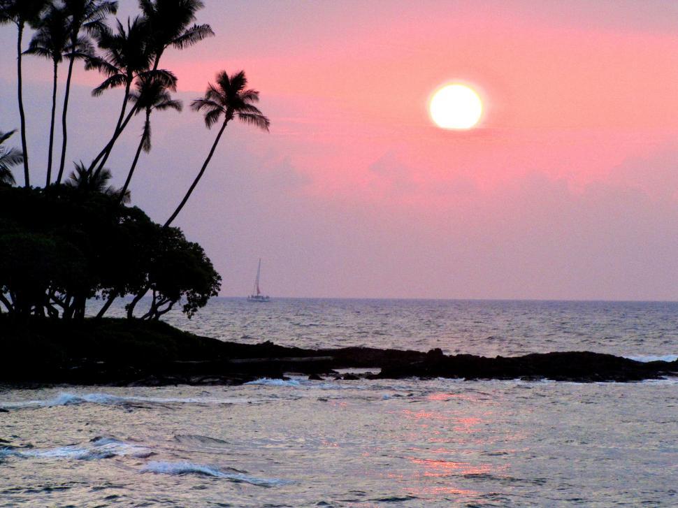 Free Image of Sun Setting Over Ocean With Palm Trees 