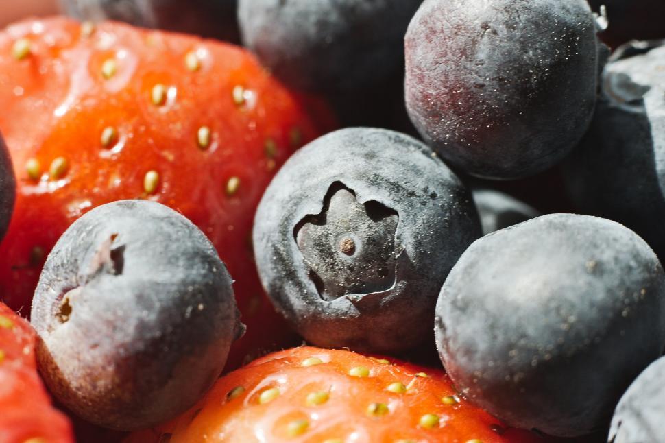 Free Image of Berries 