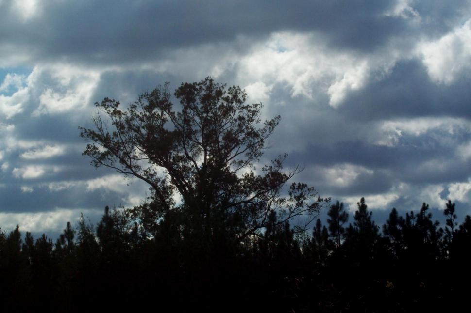 Free Image of Dark Clouds on the Horizon 