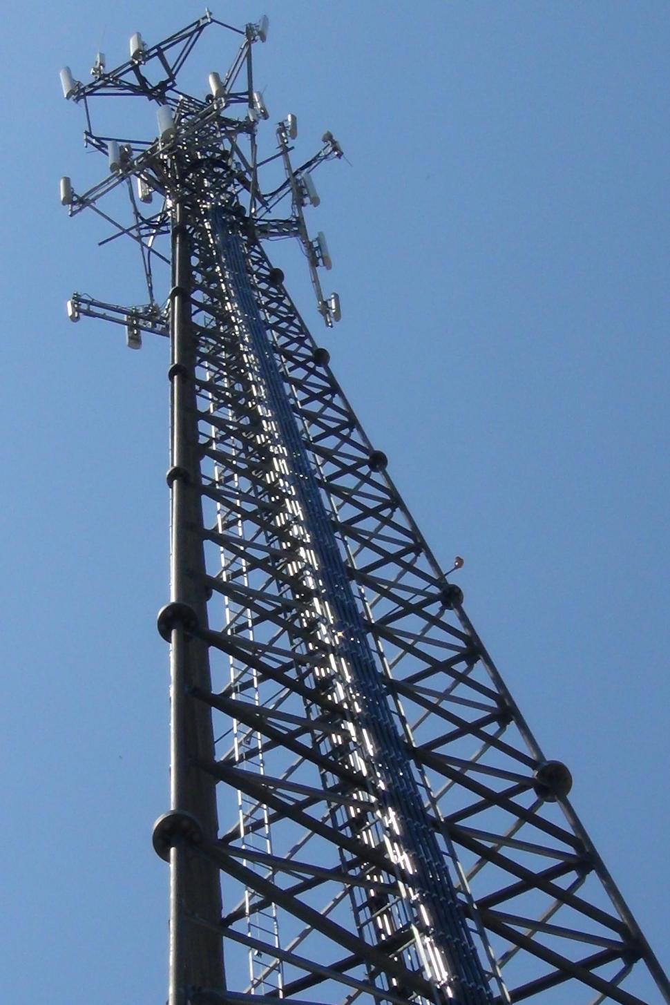 Free Image of Reach for the Sky 