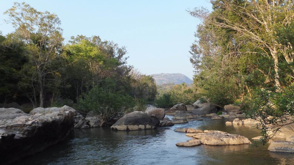 Free Image of Natural Beauty of Kerala 