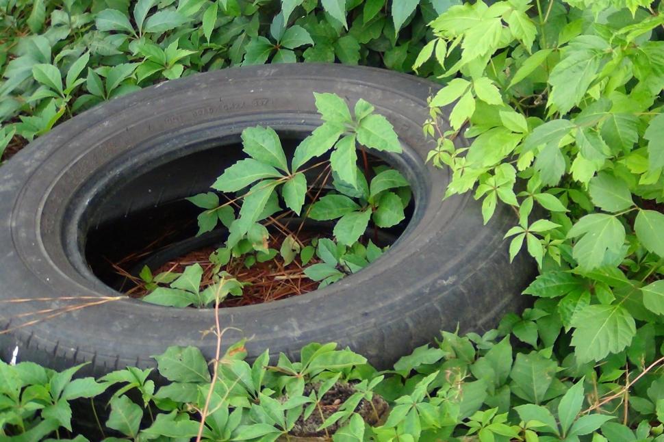 Free Image of Retired To Nature 