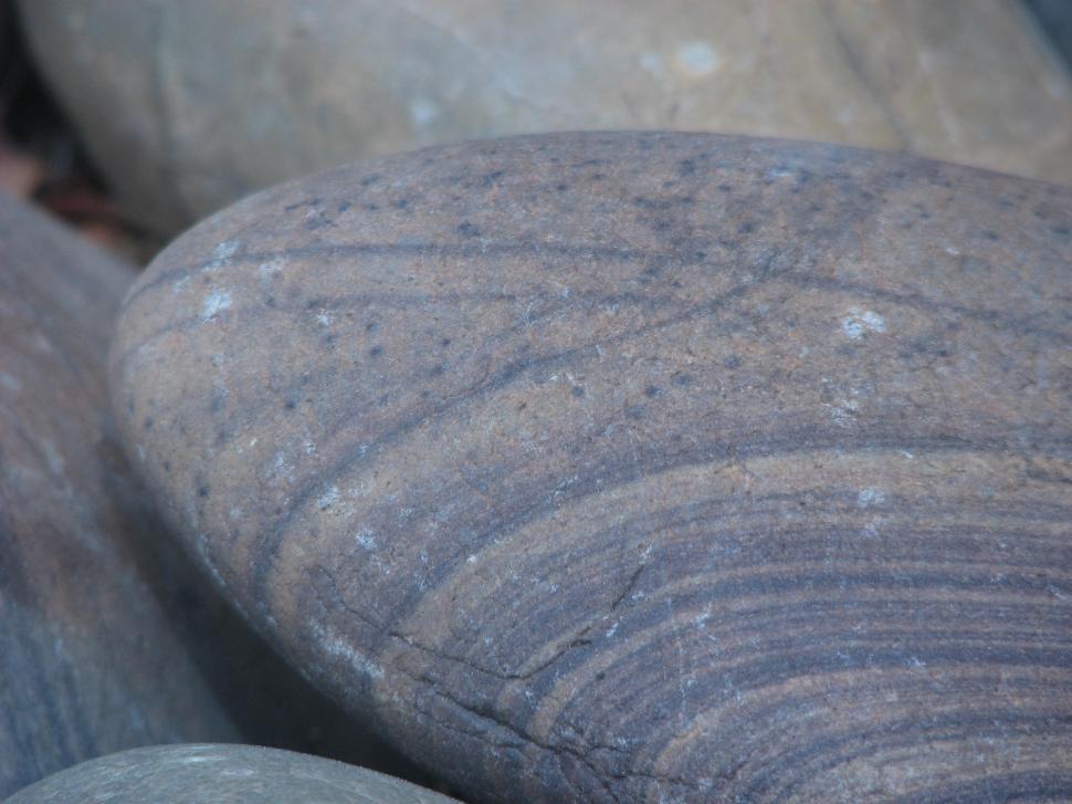Free Image of Garden Stone 