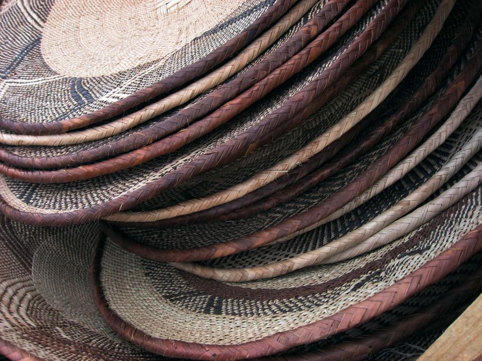 Free Image of A Close Up of a Pile of Different Colored Feathers 