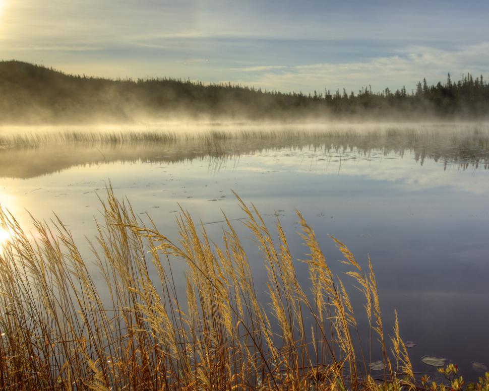 Free Image of Lake 