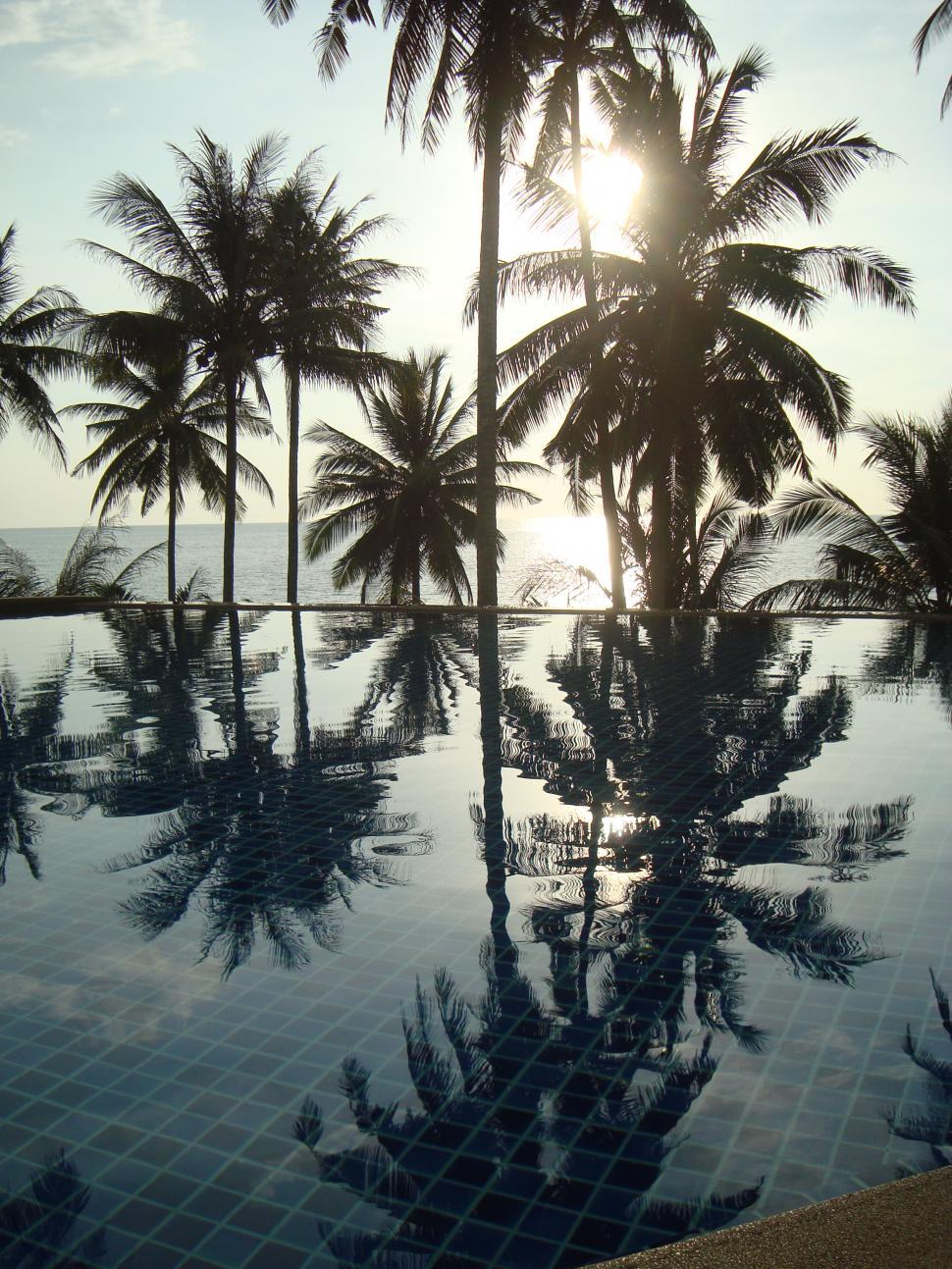 Free Image of Tropical Ocean View Swimming Pool 