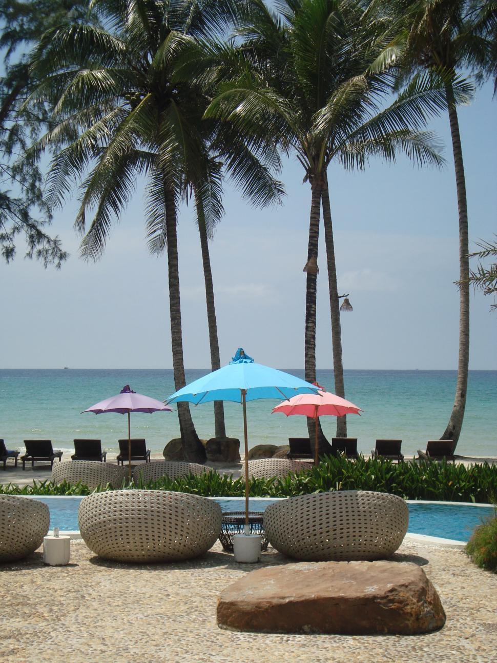 Free Image of Tropical Paradise 