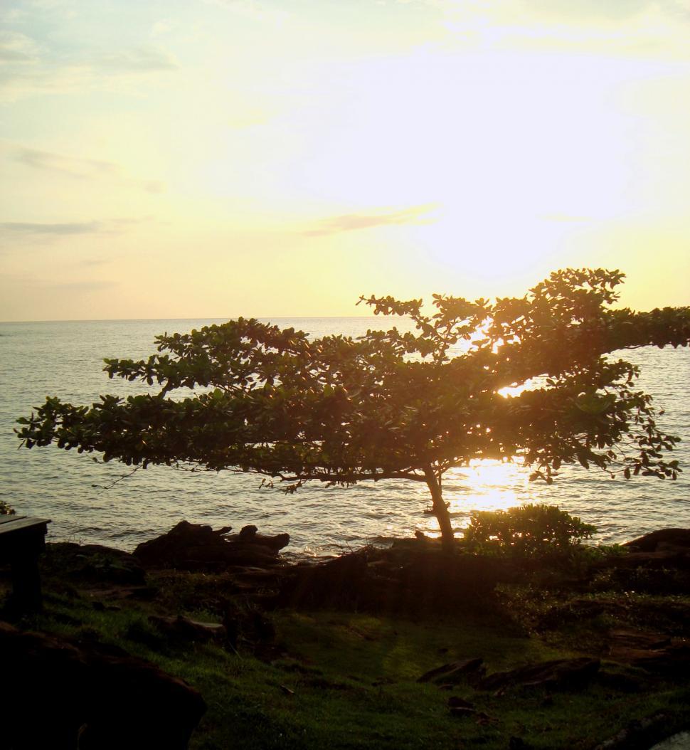Free Image of Tropical Island at Sunset 