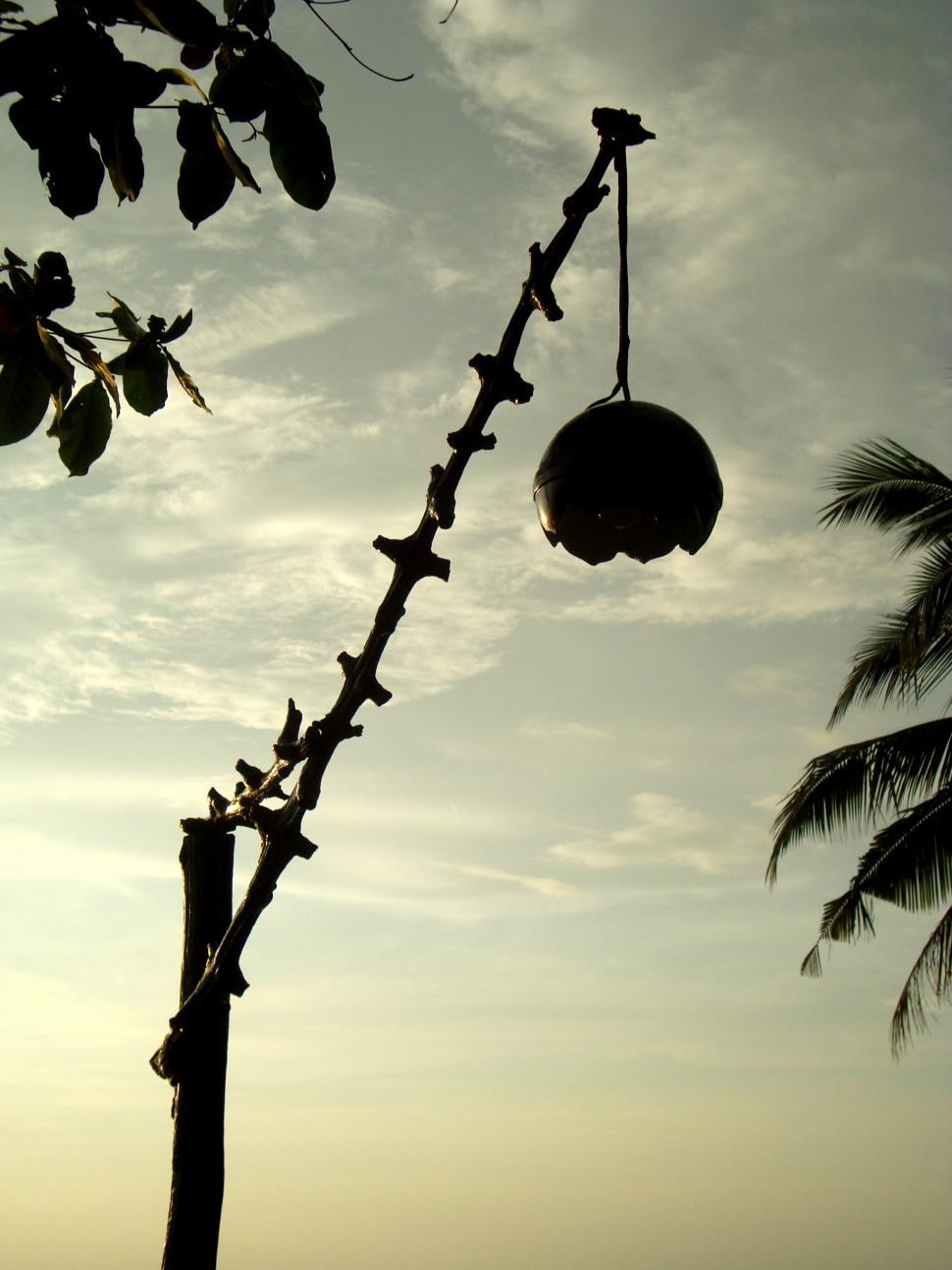 Free Image of Coconut Shell Lamp 