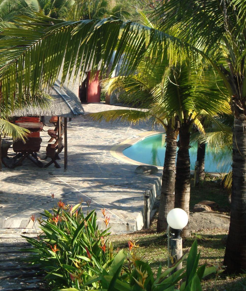 Free Image of Tropical Swimming Pool 