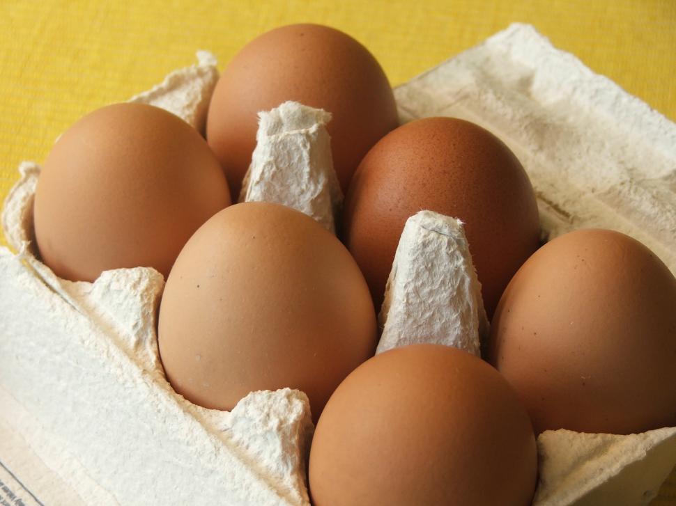 Free Image of fresh brown eggs in carton 