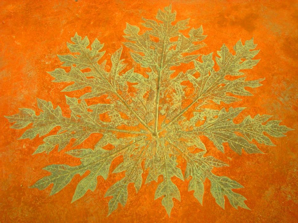 Free Image of Leaf Pattern 