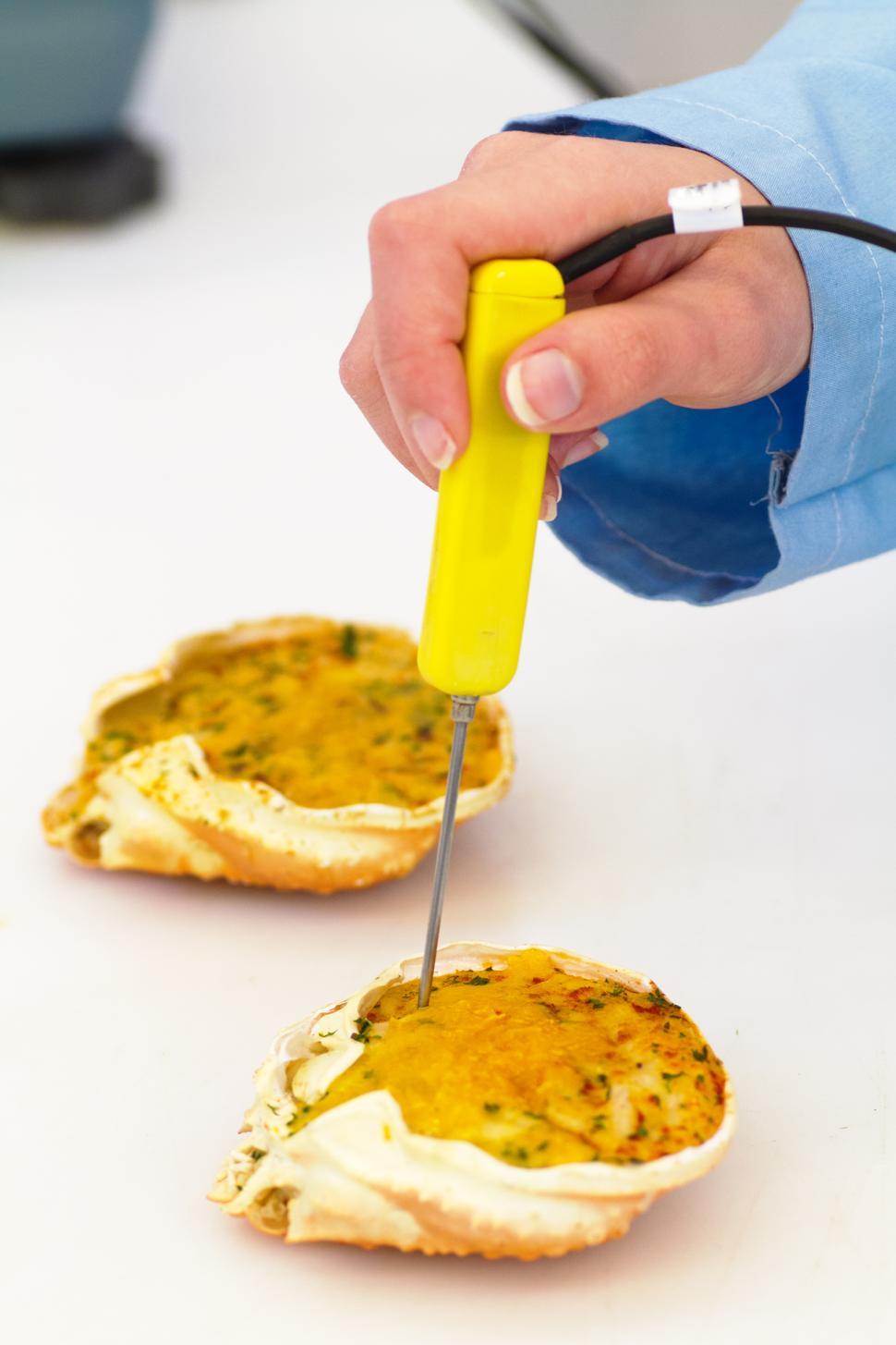 Free Image of Food Safety 