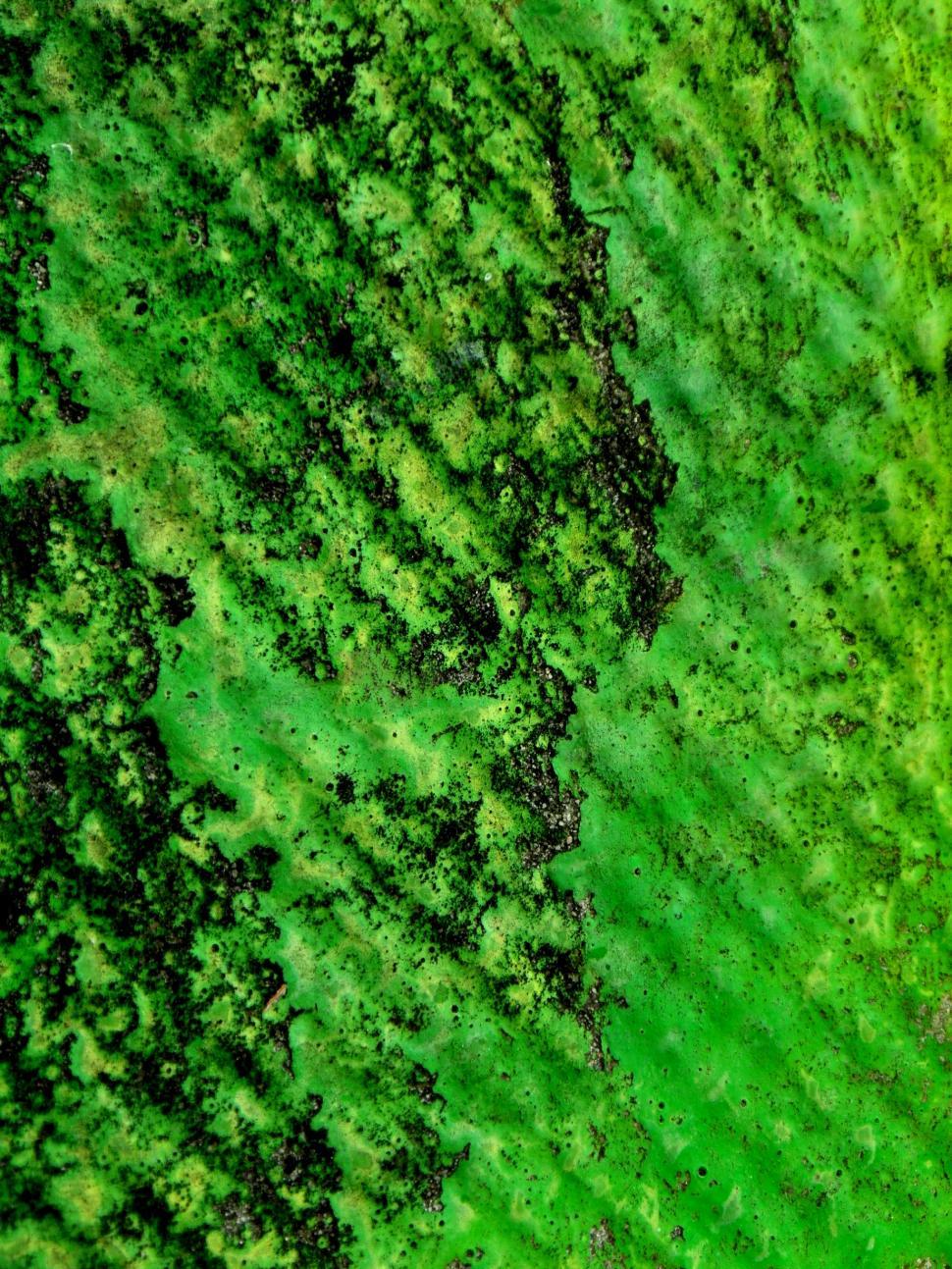 Free Image of Green Grunge Texture 