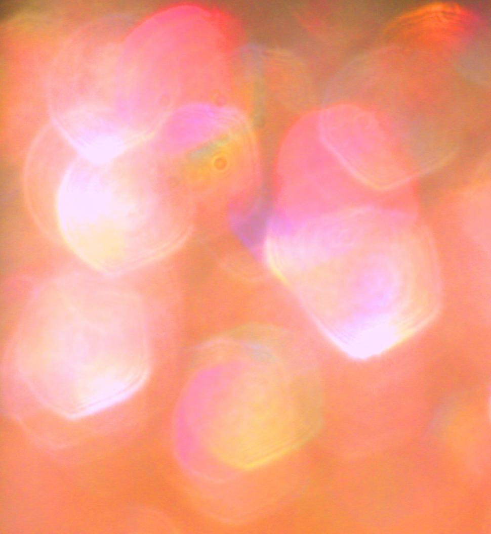 Free Image of Abstract Bokeh Light Background 