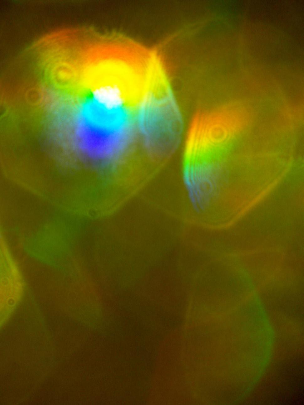Free Image of Abstract Bokeh Lights 