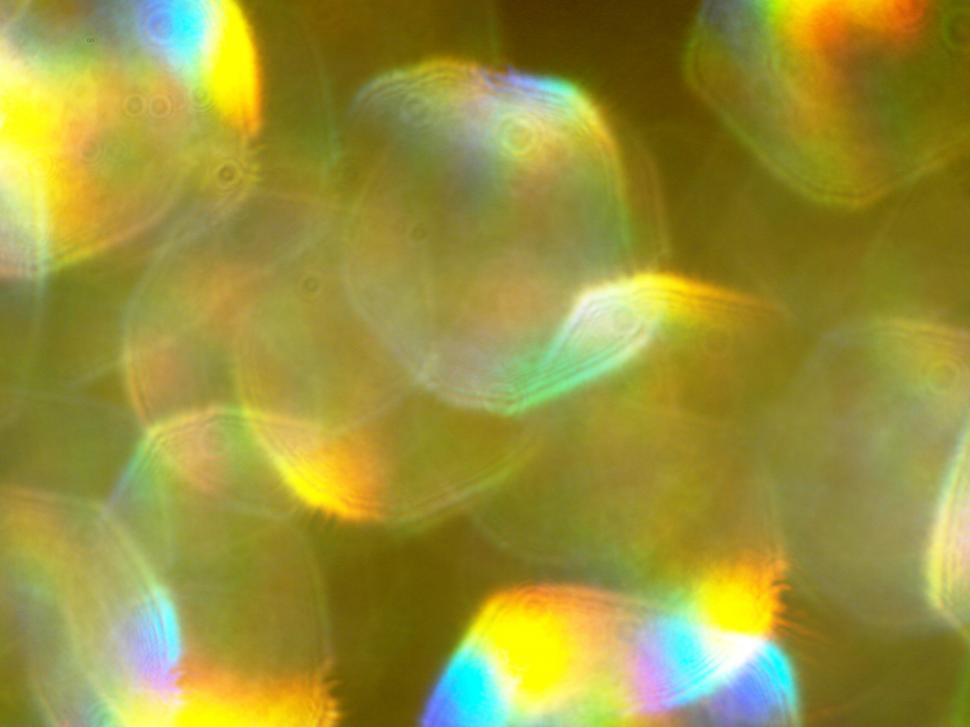 Free Image of Abstract Bokeh Lights 