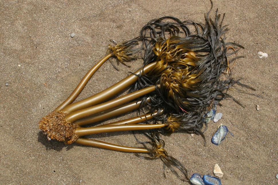 Free Image of Pile of Gold-Colored Objects on the Ground 
