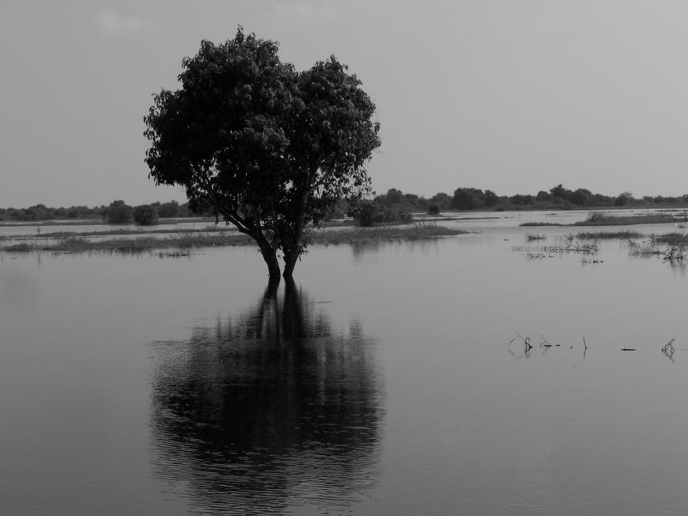 Free Image of Cambodia - Reflections 