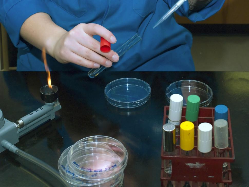 Free Image of Microbiology 