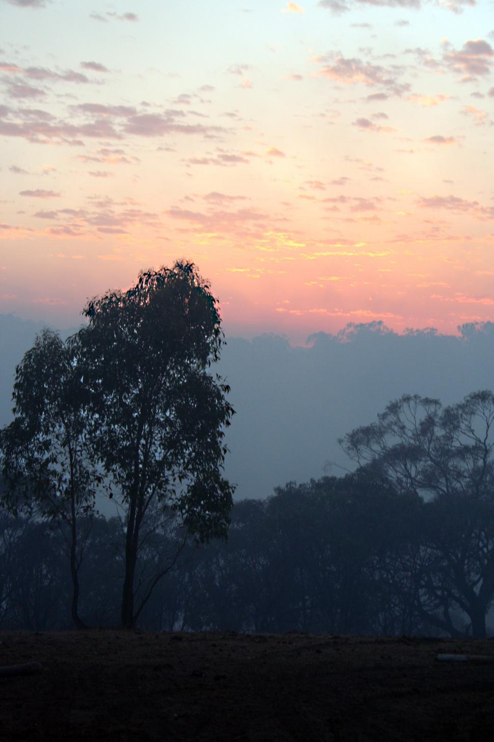 Free Image of Sunrise after the wildfire 