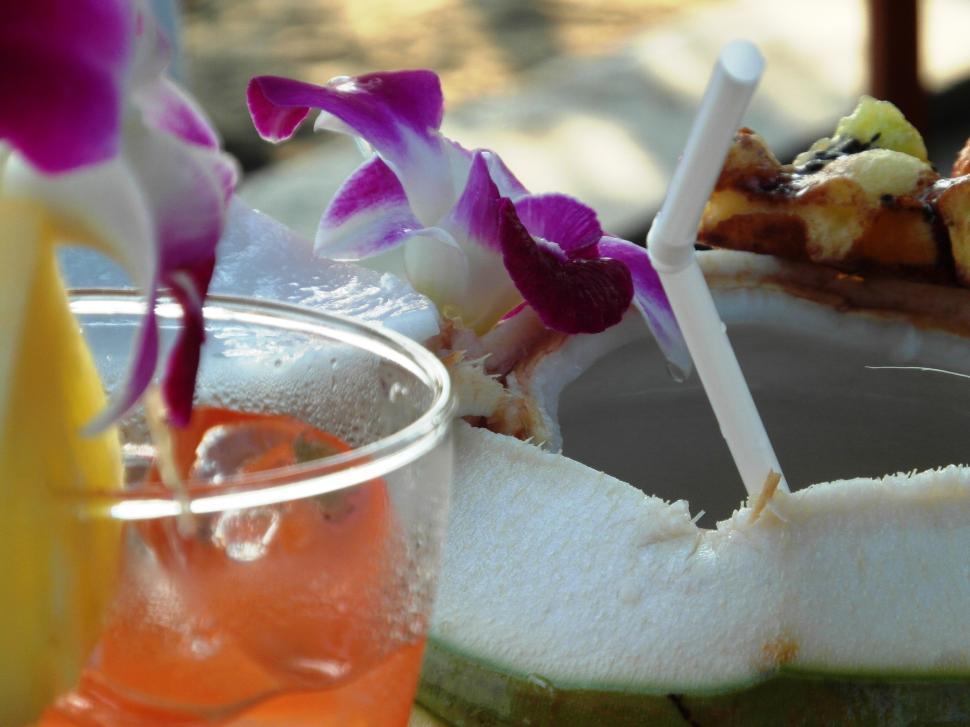 Free Image of Fresh Coconut on the Beach 