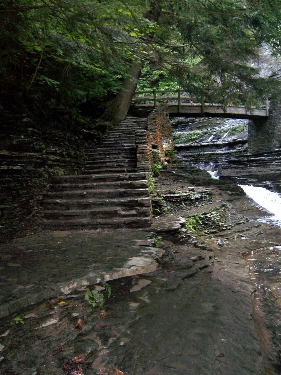Free Image of Nature Walk 