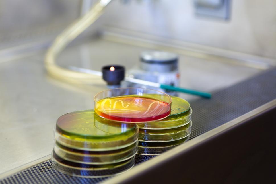 Free Image of Microbiology 