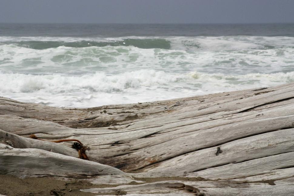 Free Image of Person Standing on Beach With Surfboard 