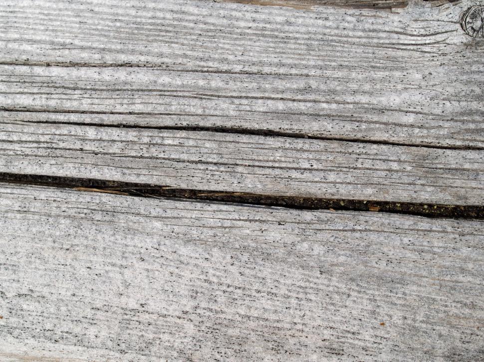 Free Image of Wood 