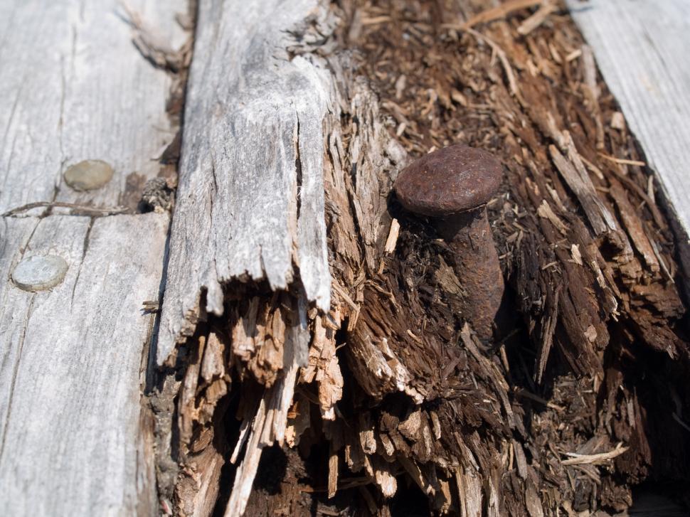 Free Image of Wood 