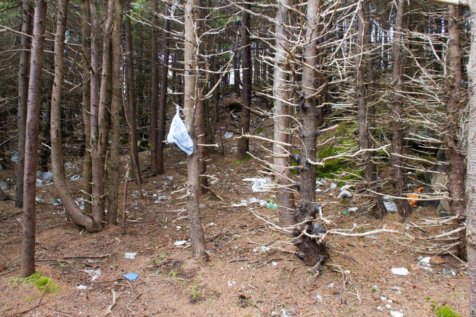 Free Image of Pollution - Litter 