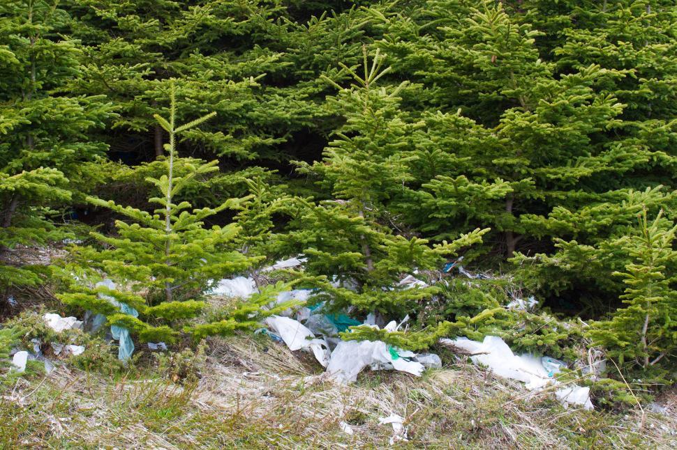 Free Image of Pollution - Litter 