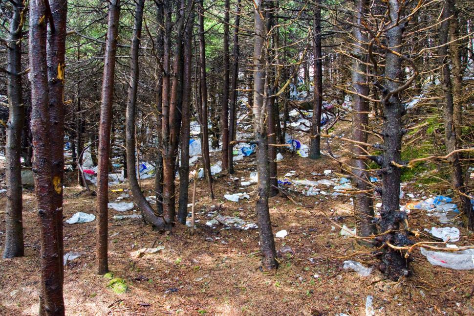 Free Image of Pollution - Litter 