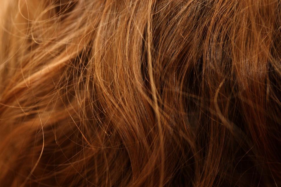 Free Image of Fur texture 