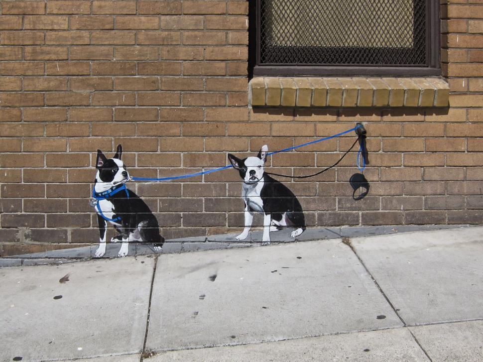 Free Image of Dogs on the Wall 