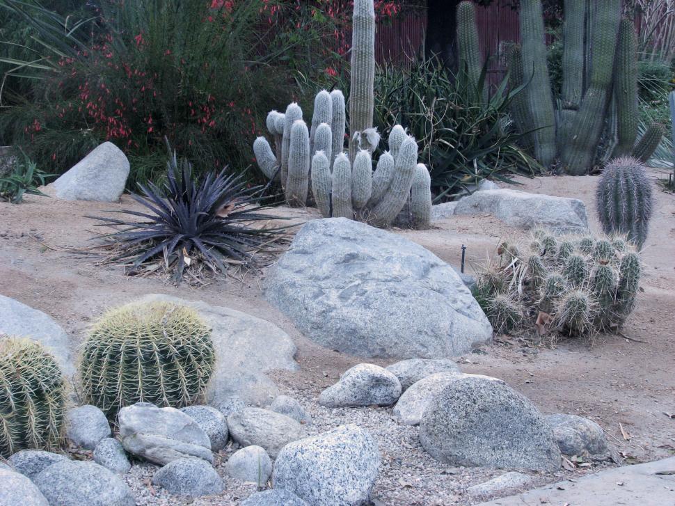 Free Image of Desert Landscape 2 