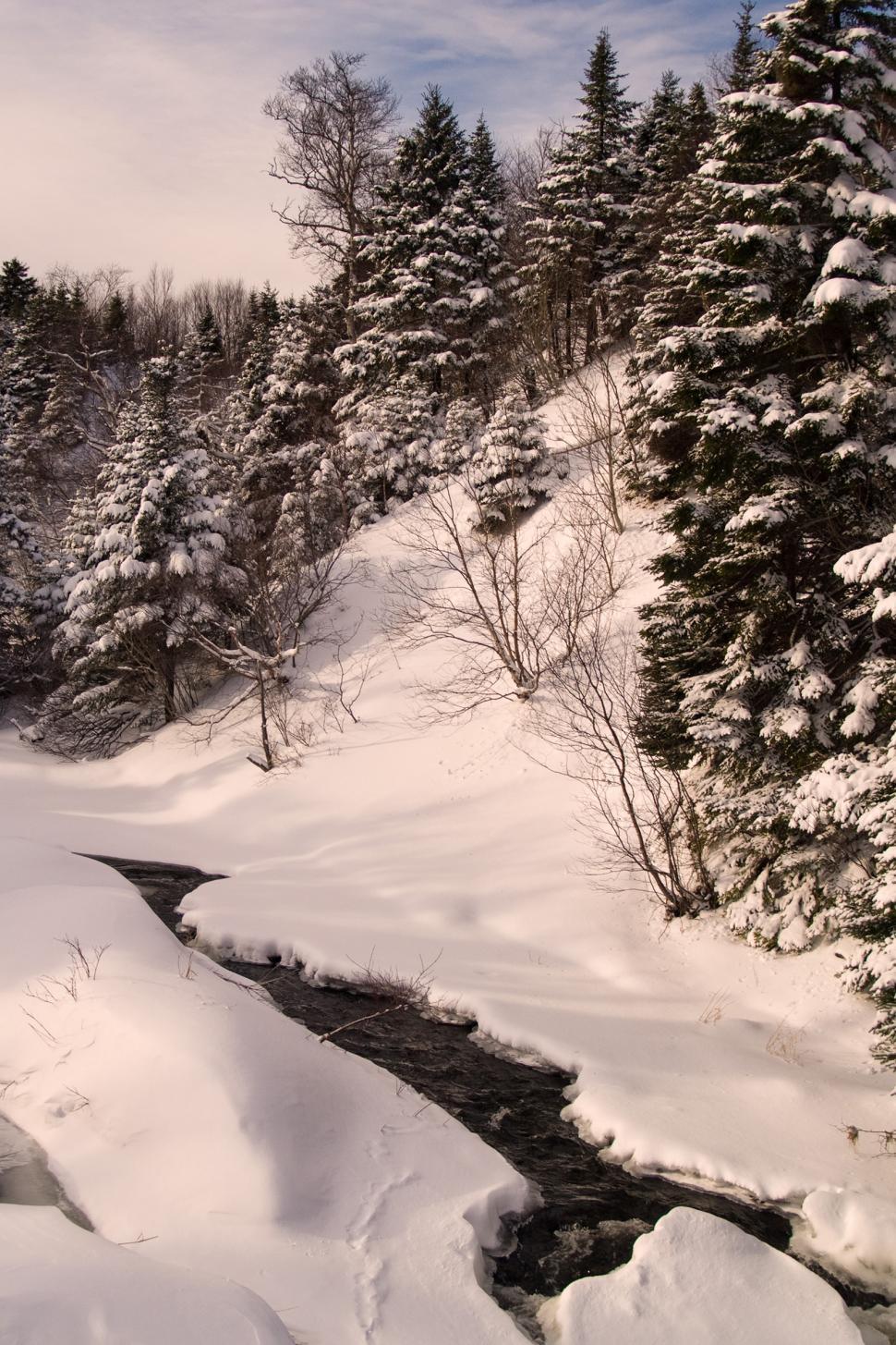 Free Image of Winter 
