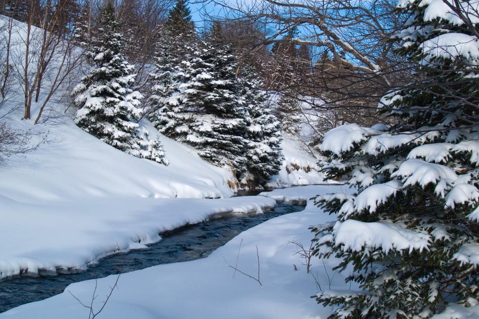 Free Image of Winter 