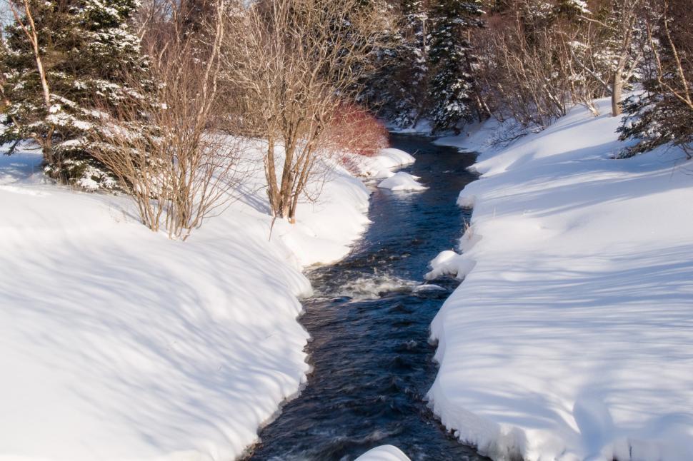 Free Image of Winter 