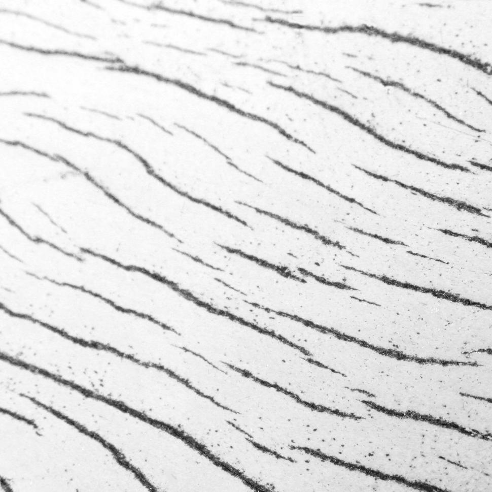 Free Image of Wood Pattern B&W 
