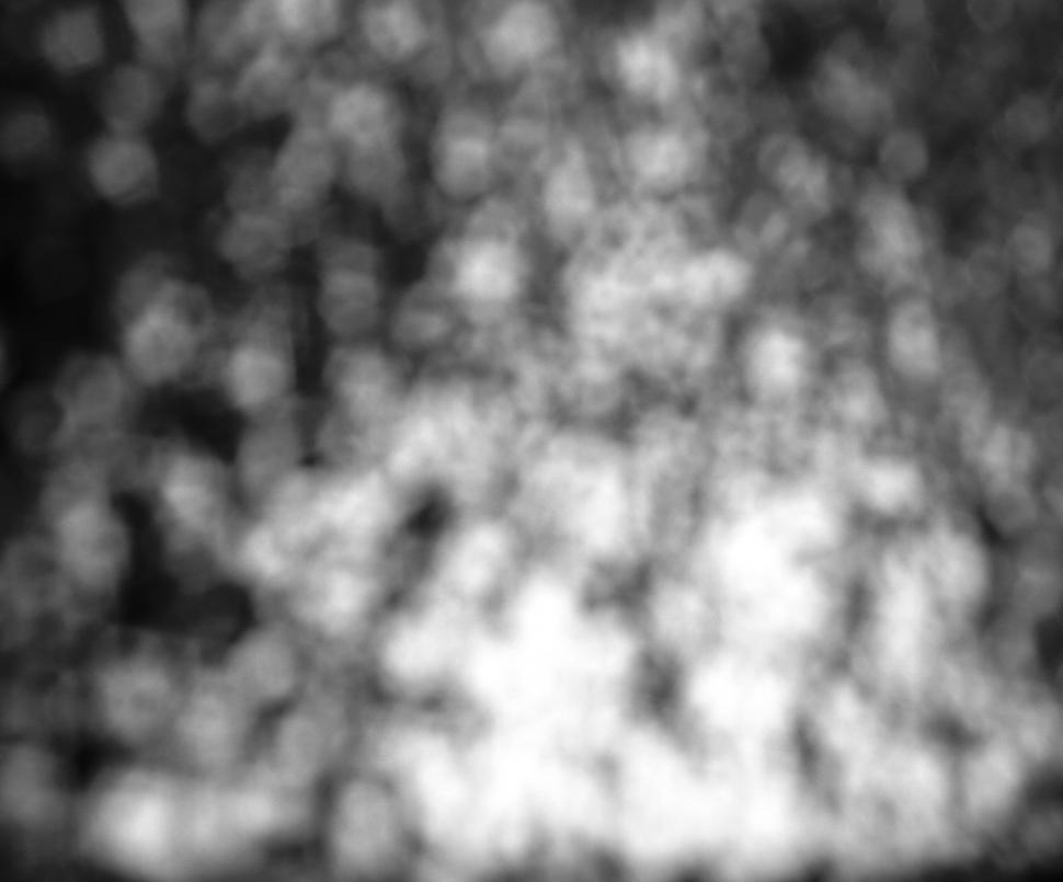 Free Image of Black and White Bokeh 