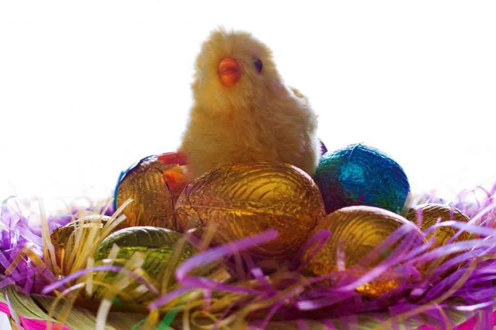 Free Image of Easter 