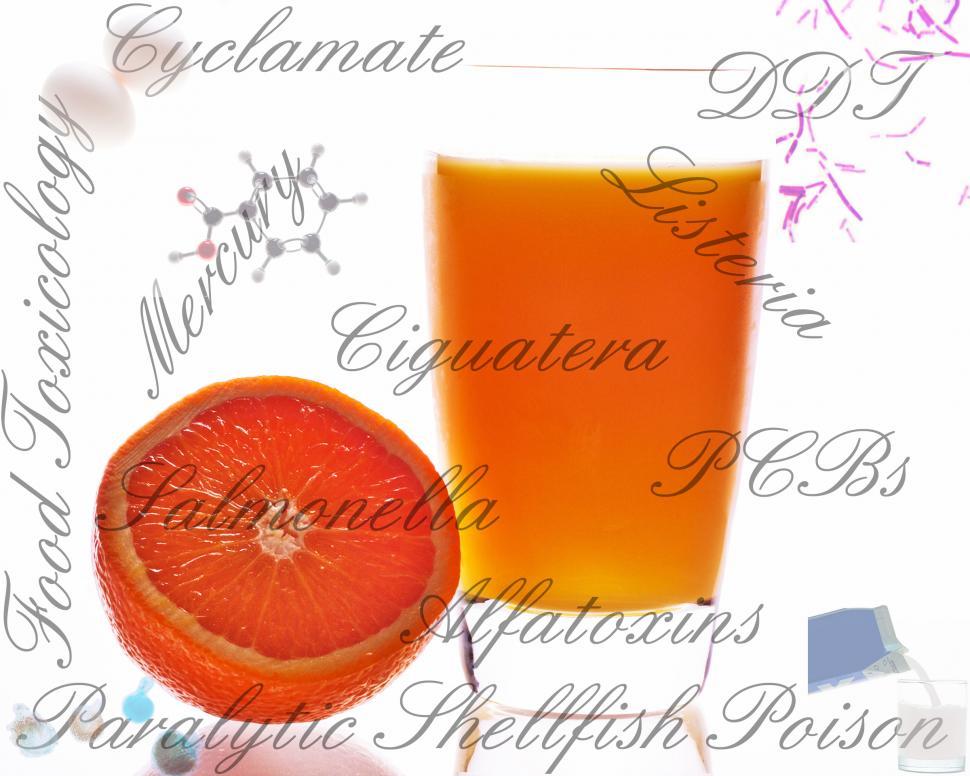 Free Image of Food Safety 