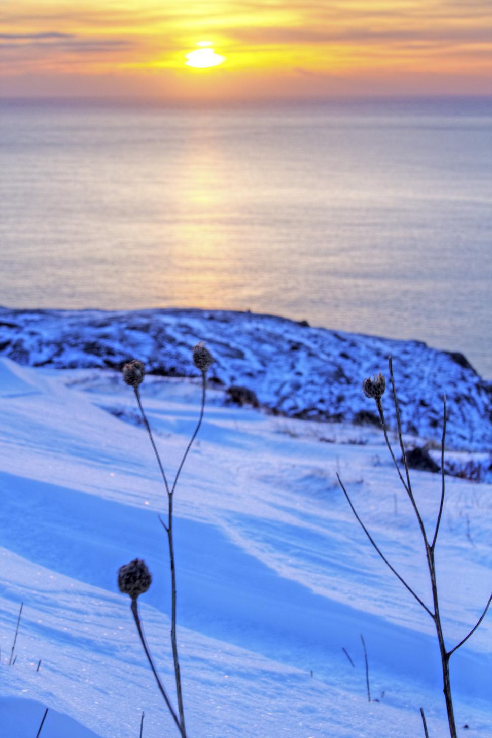 Free Image of Winter 