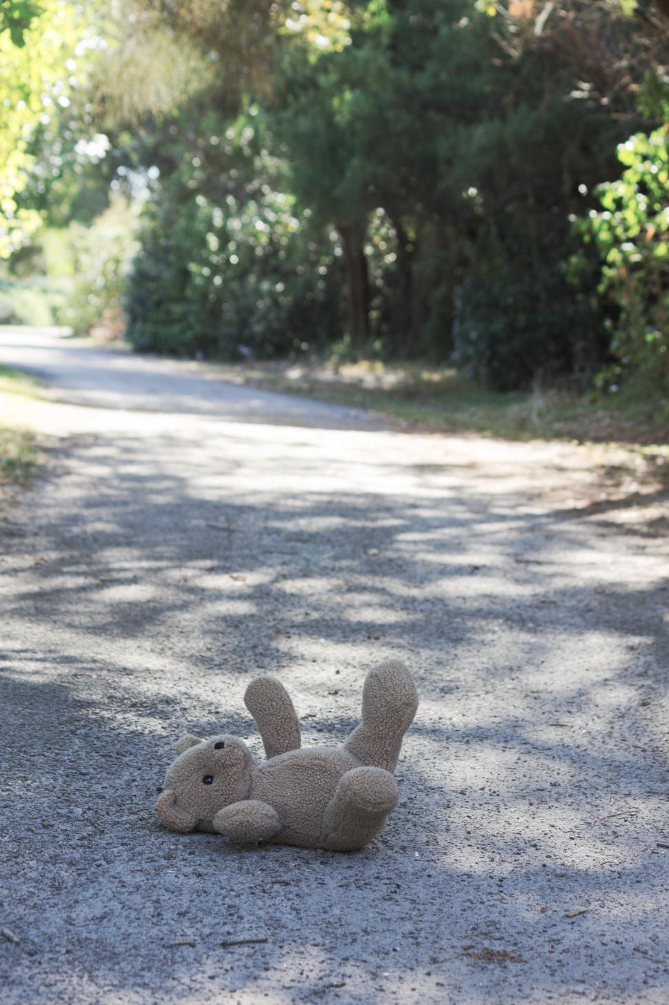 Free Image of Teddy bear on the ground 