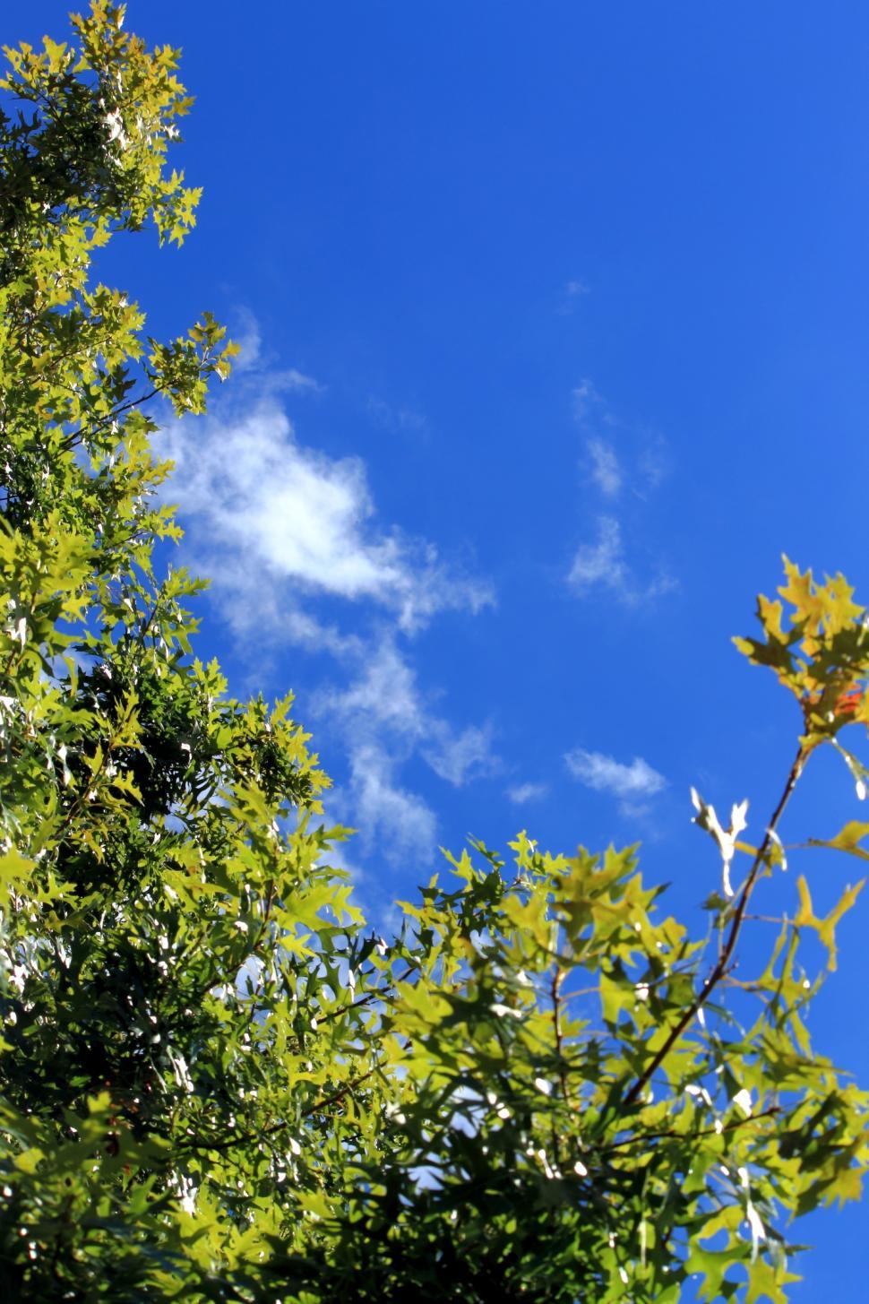 Free Image of Blue, green and white 