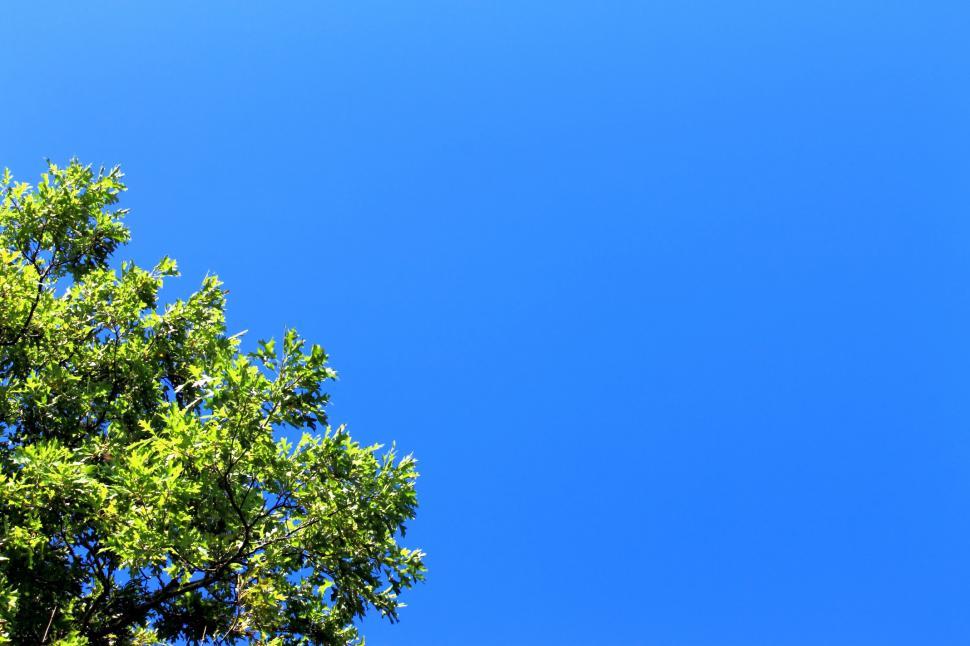 Free Image of Blue and green 2 