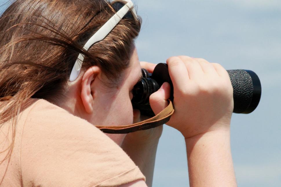 Free Image of What are you looking at? 